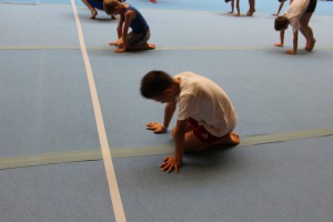 IMG 0595